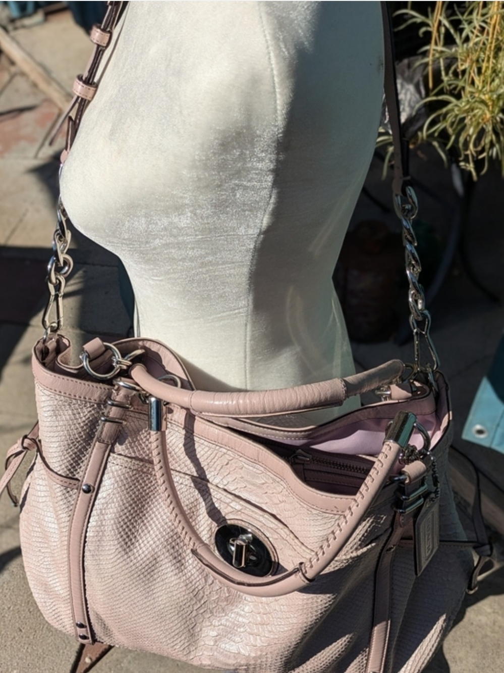 Coach Audrey Pinnacle Python Leather Tote Bag